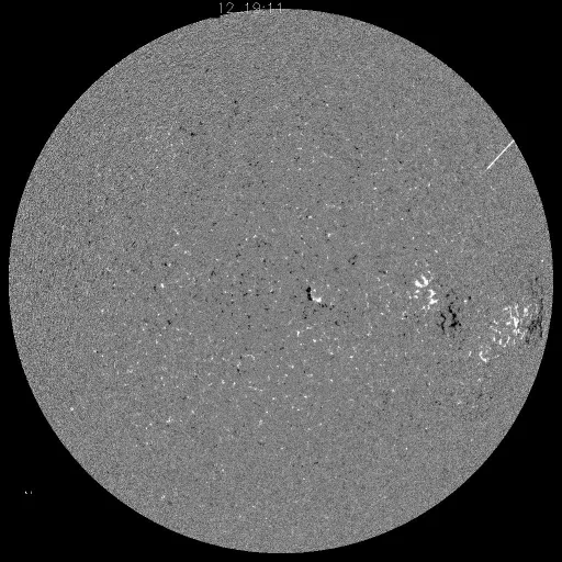 Solar Magnetic Fields