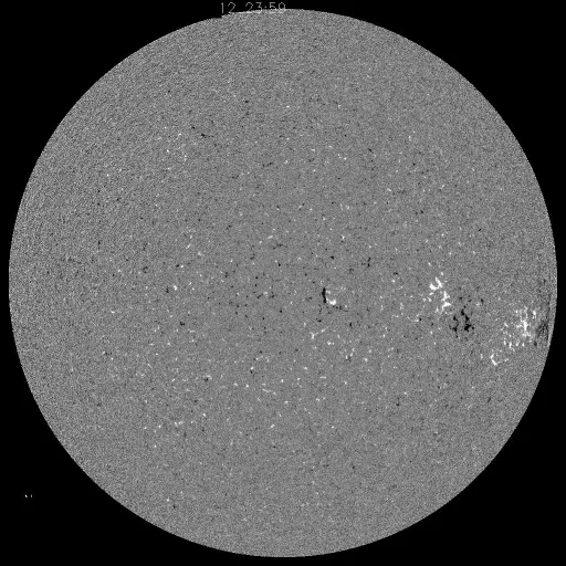 Solar Magnetic Fields