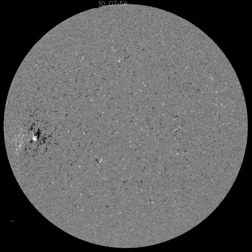 Solar Magnetic Fields