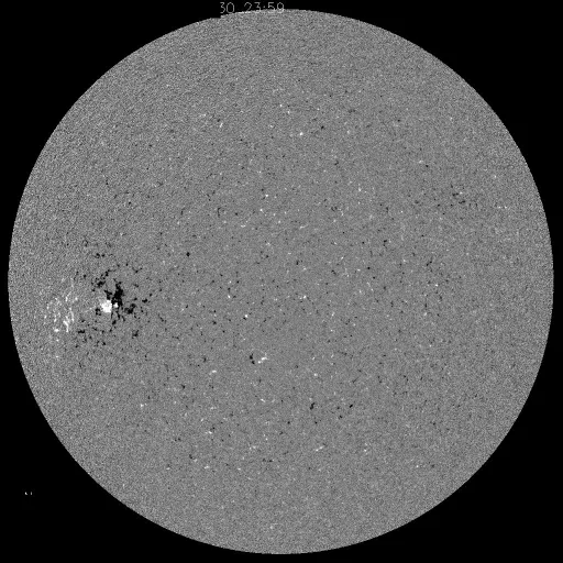 Solar Magnetic Fields