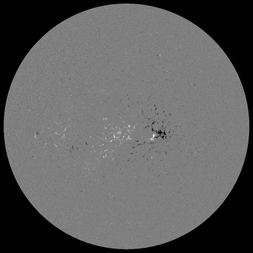 Solar Magnetic Fields
