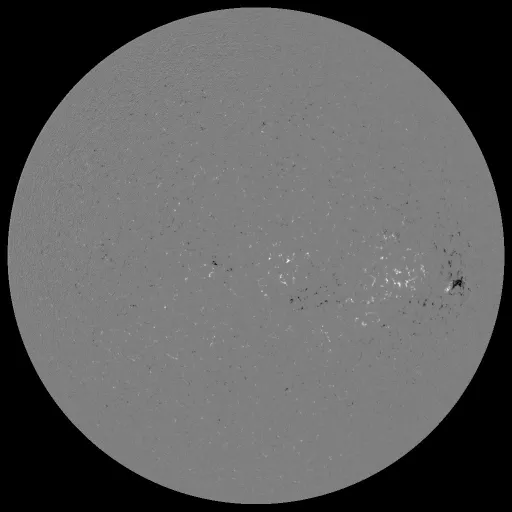 Solar Magnetic Fields