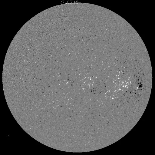 Solar Magnetic Fields