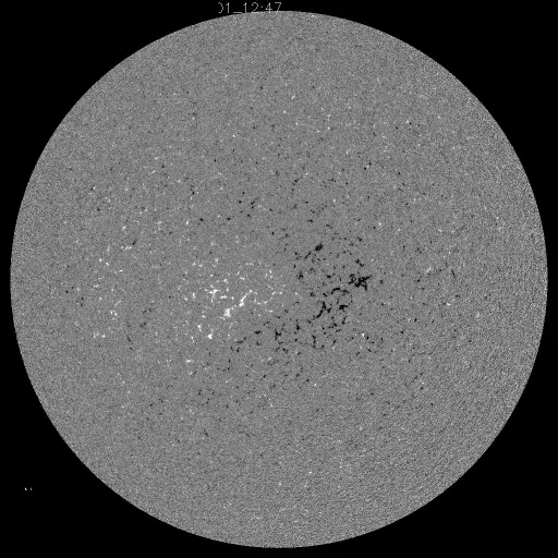 Solar Magnetic Fields