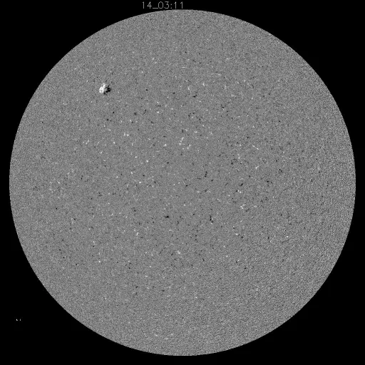 Solar Magnetic Fields