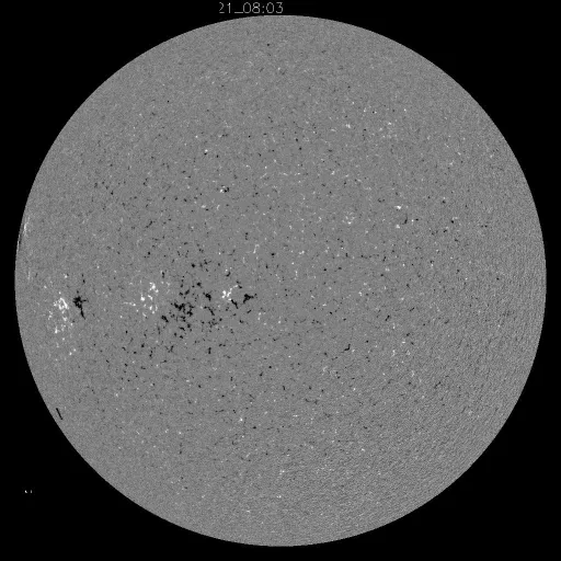 Solar Magnetic Fields