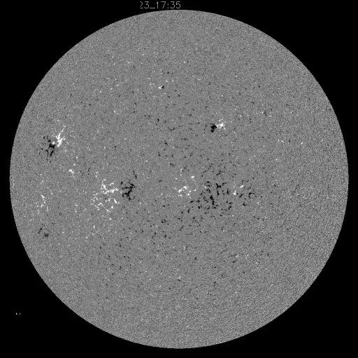 Solar Magnetic Fields