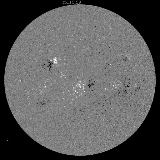 Solar Magnetic Fields