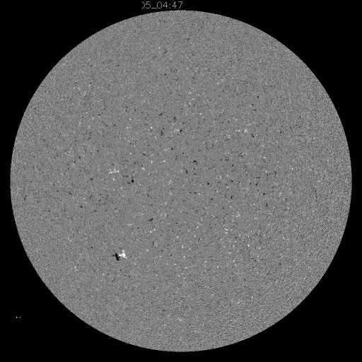 Solar Magnetic Fields