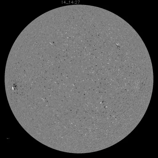 Solar Magnetic Fields
