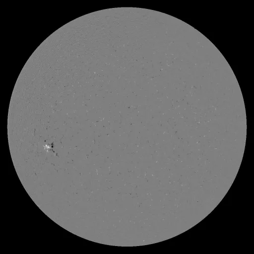 Solar Magnetic Fields