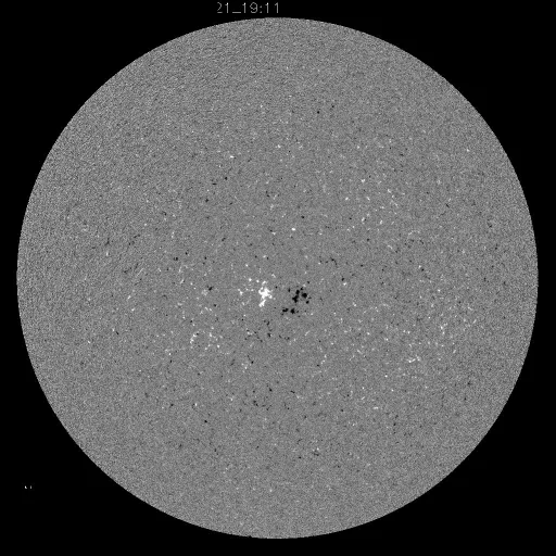Solar Magnetic Fields