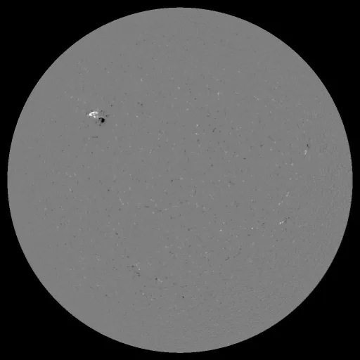 Solar Magnetic Fields