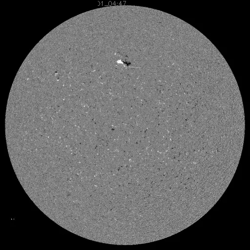 Solar Magnetic Fields