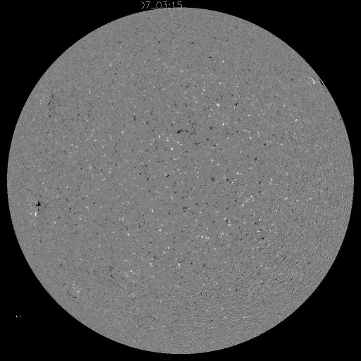 Solar Magnetic Fields