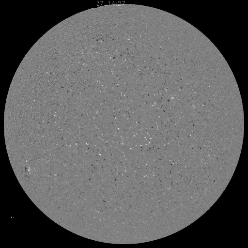 Solar Magnetic Fields
