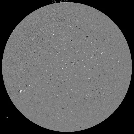 Solar Magnetic Fields