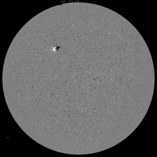 Solar Magnetic Fields