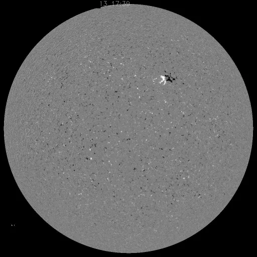 Solar Magnetic Fields