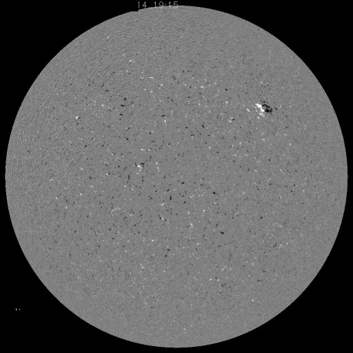 Solar Magnetic Fields