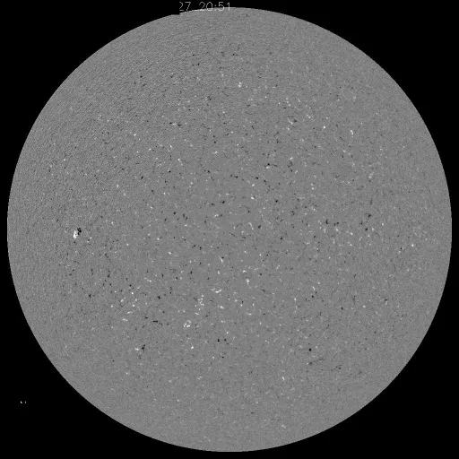 Solar Magnetic Fields