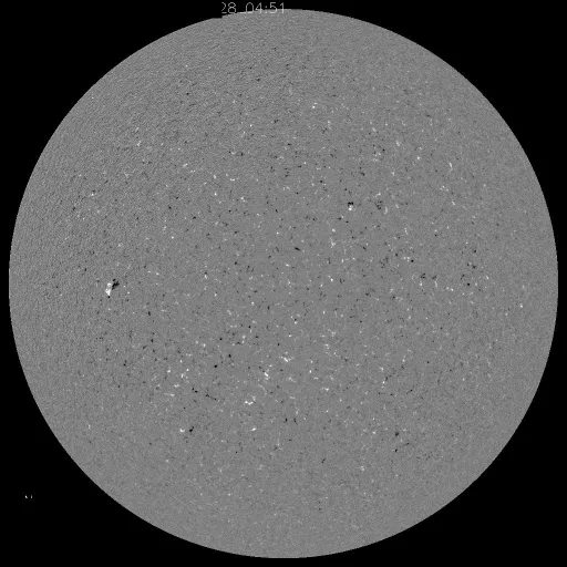 Solar Magnetic Fields