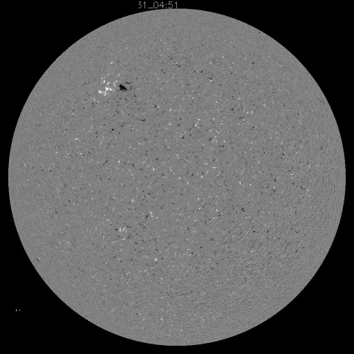Solar Magnetic Fields