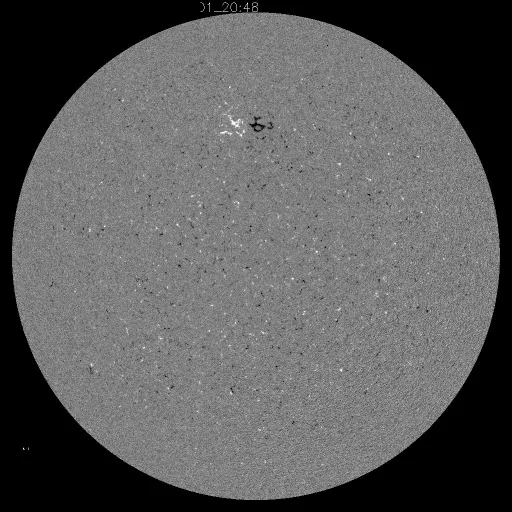 Solar Magnetic Fields