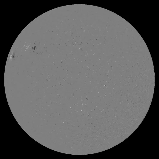 Solar Magnetic Fields