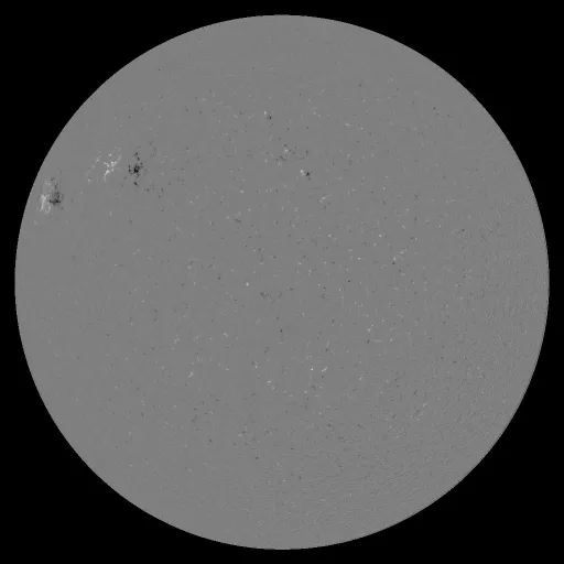 Solar Magnetic Fields