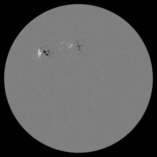 Solar Magnetic Fields