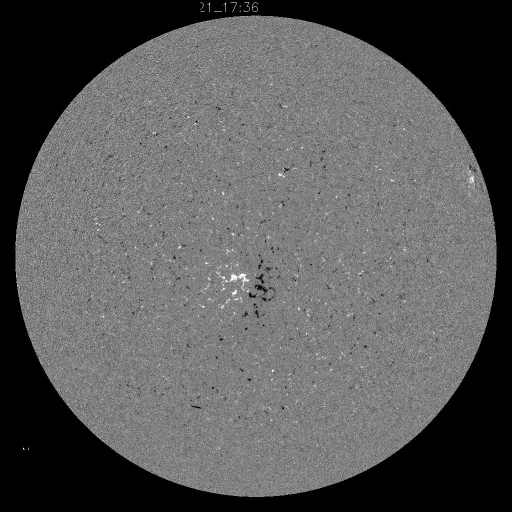 Solar Magnetic Fields