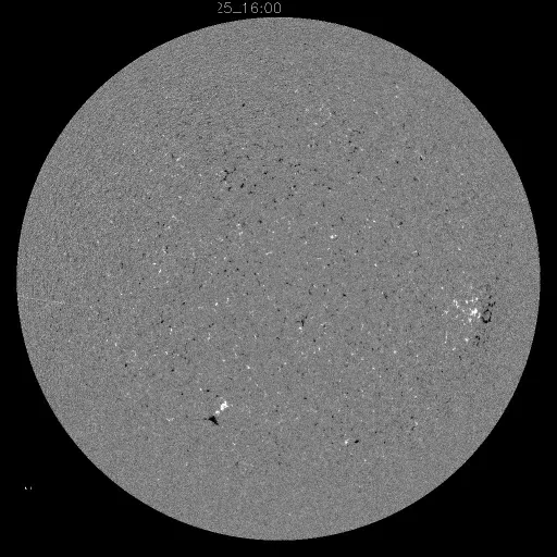 Solar Magnetic Fields