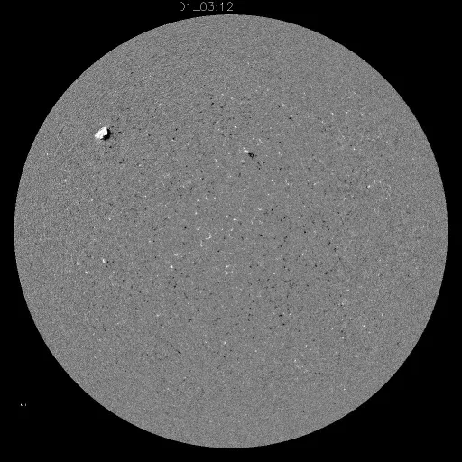 Solar Magnetic Fields