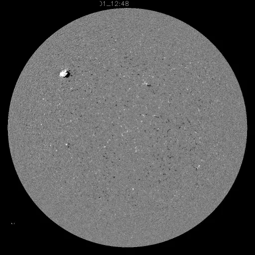 Solar Magnetic Fields