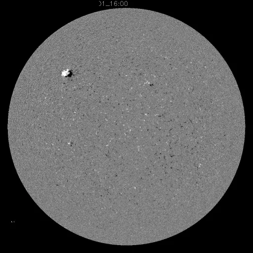 Solar Magnetic Fields