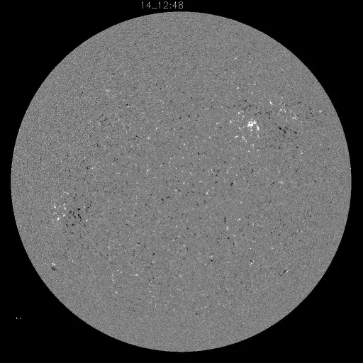 Solar Magnetic Fields