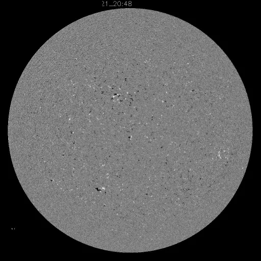 Solar Magnetic Fields