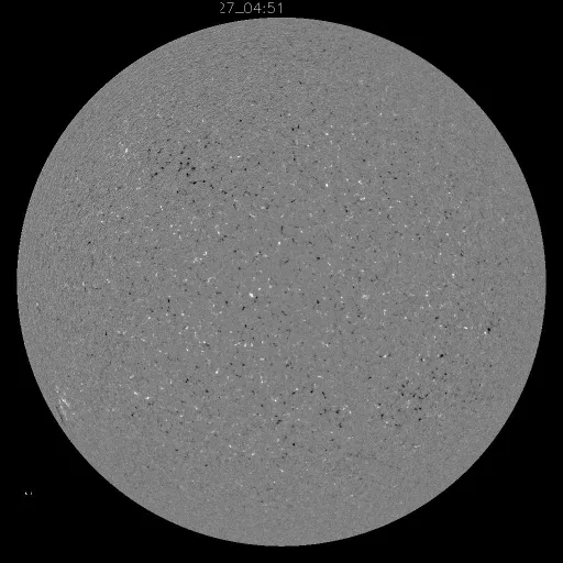 Solar Magnetic Fields