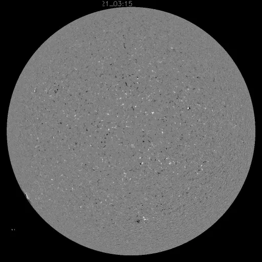Solar Magnetic Fields