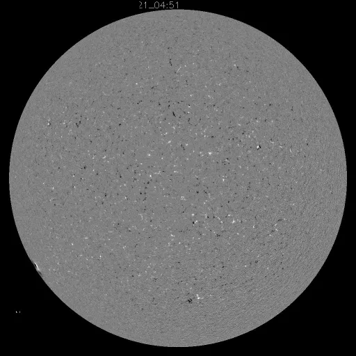Solar Magnetic Fields