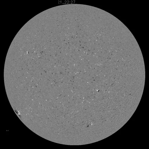 Solar Magnetic Fields