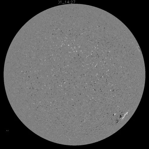 Solar Magnetic Fields