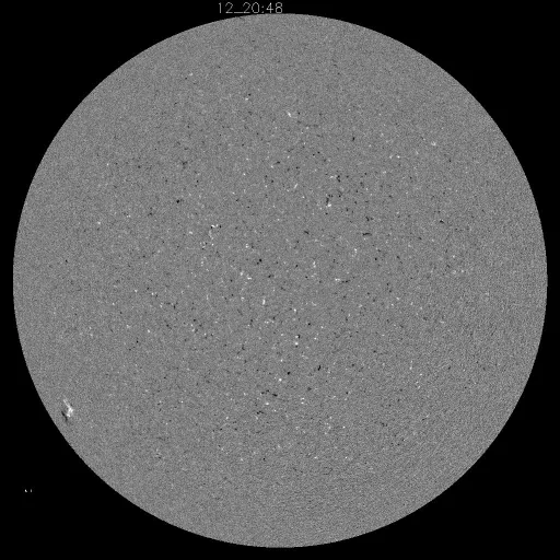 Solar Magnetic Fields