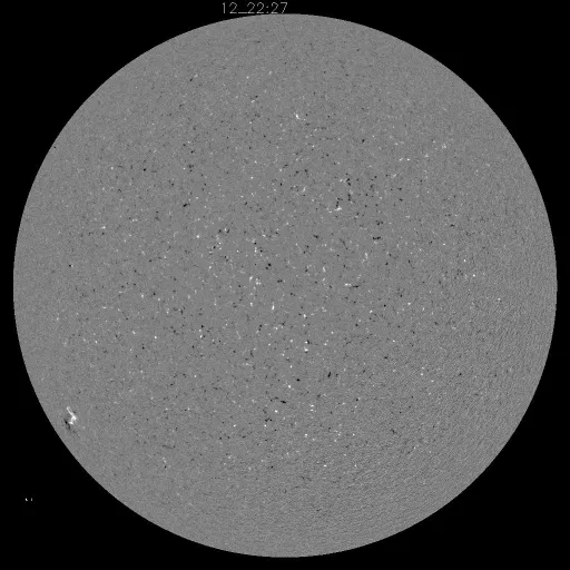 Solar Magnetic Fields
