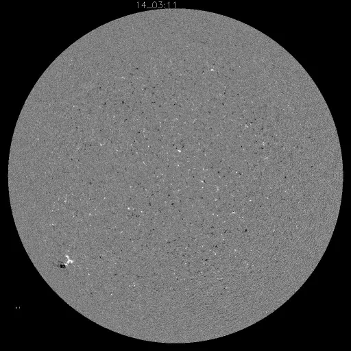 Solar Magnetic Fields