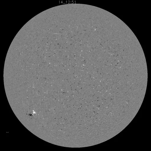 Solar Magnetic Fields
