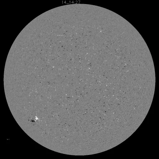 Solar Magnetic Fields