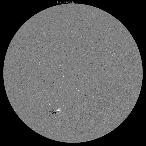 Solar Magnetic Fields
