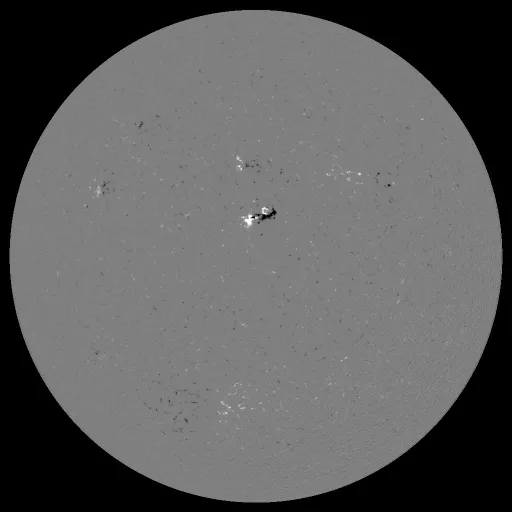 Solar Magnetic Fields